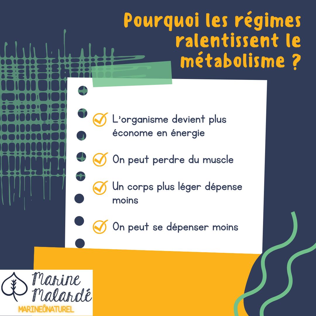 Pourquoi les régimes ralentissent le métabolisme